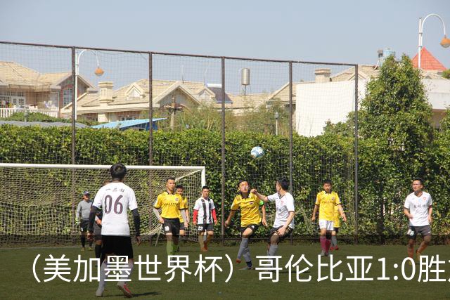 （美加墨世界杯）哥伦比亚1:0胜加纳 斩获16强最后一席
